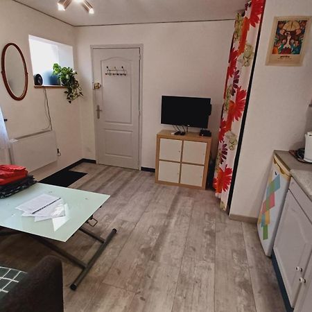 Studio Cosy Tout Confort Gaillac Centre. Екстер'єр фото